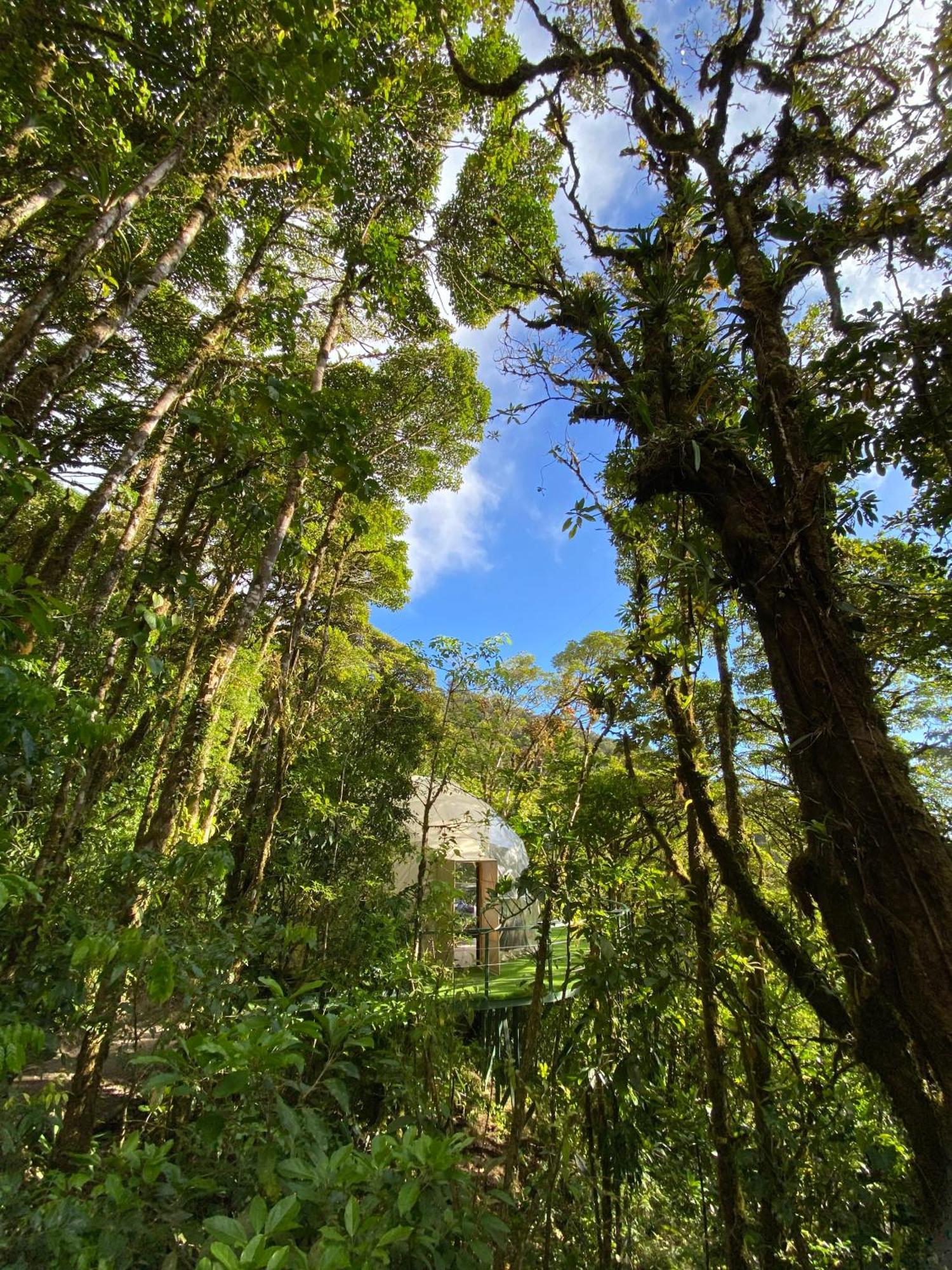 Way To Heaven Glamping Hotel Monteverde Exterior photo