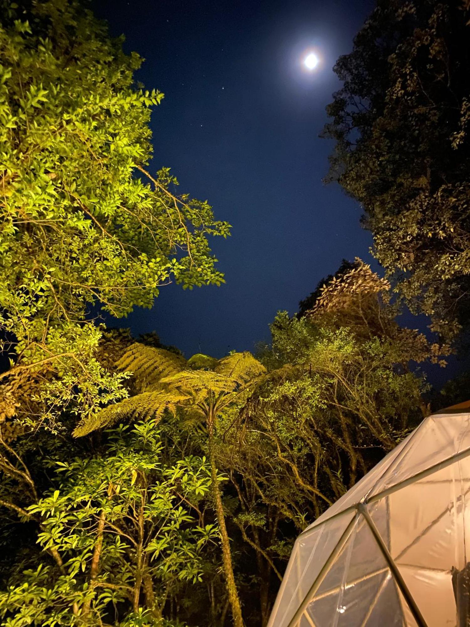 Way To Heaven Glamping Hotel Monteverde Exterior photo